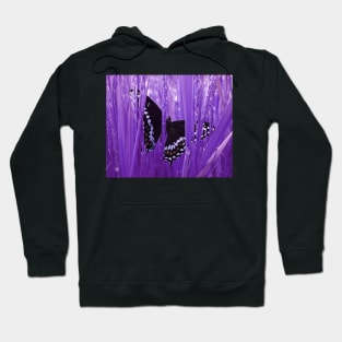 Purple Grass Swallowtail Butterfly Hoodie